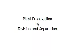 Plant Propagation by