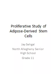 Proliferative Study of Adipose-Derived Stem Cells