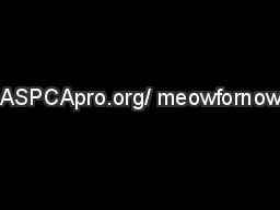ASPCApro.org/ meowfornow