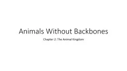 Animals Without Backbones