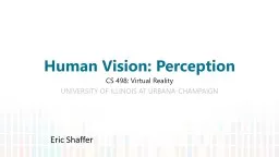 Human Vision: Perception