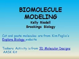 BIOMOLECULE MODELING