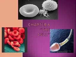 Chapter 6 “The Cell”