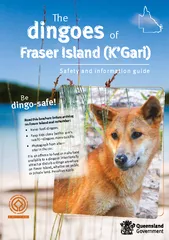 Safety and information guide Fraser Island KGari The B