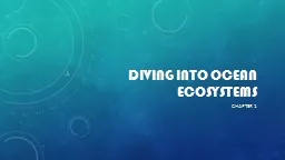 Diving Into ocean ecosystems