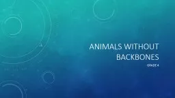 Animals without backbones