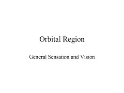 Orbital Region General Sensation and Vision
