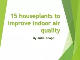 15 houseplants to improve indoor air