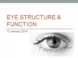 Eye structure & function