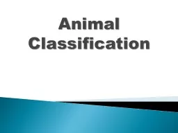 Animal   Classification