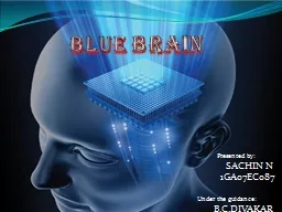 Blue  brain