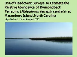 Use of Headcount Surveys to Estimate the Relative Abundance of Diamondback Terrapins (