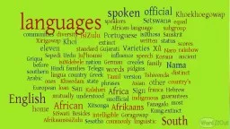Language use and language attitudes in multilingual and multi-cultural South