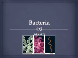 Bacteria REVIEW Bacteria are single-celled