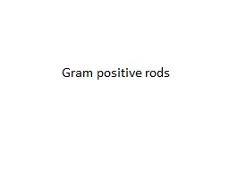 Gram positive rods Gram positive rods