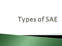Types of SAE Entrepreneurship