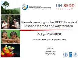Remote sensing in the REDD+ context