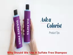 Why Should We Use A Sulfate Free Shampoo