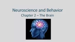  Neuroscience and Behavior