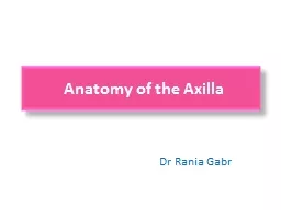  Anatomy of the Axilla Dr
