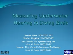  Measuring Underwater Hearing in Diving Birds