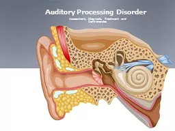  Auditory Processing Disorder