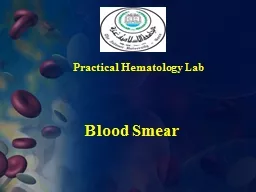  Blood Smear Practical Hematology Lab