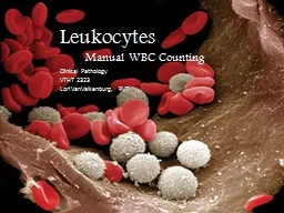  Leukocytes Manual WBC Counting