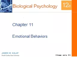  Chapter 11 Emotional Behaviors