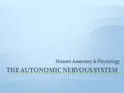  The Autonomic nervous system