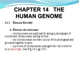  CHAPTER 14   THE HUMAN GENOME