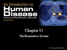  Chapter 15 The Respiratory System