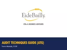  Audit techniques guide (