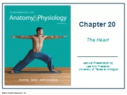  An Introduction to the Cardiovascular System