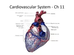  Cardiovascular System - Ch 11