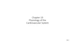  Chapter 19  Physiology of the 
