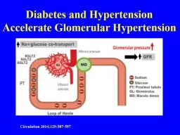  Diabetes and Hypertension Accelerate Glomerular Hypertension