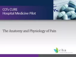 The Anatomy and Physiology of Pain
