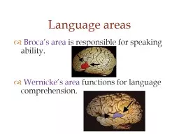    Broca’s area  is responsible for speaking ability.