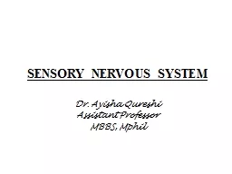  SENSORY NERVOUS SYSTEM  Dr. Ayisha Qureshi 