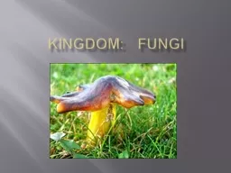  Kingdom:  fungi Fungi are multicellular heterotrophs that feed by absorption