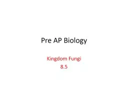  Pre AP Biology Kingdom Fungi