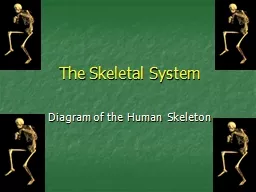  The Skeletal System Bone Diseases, Disorders, & Injuries