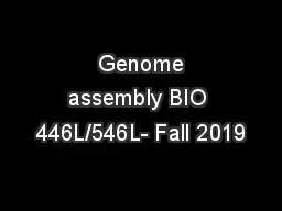  Genome assembly BIO 446L/546L- Fall 2019