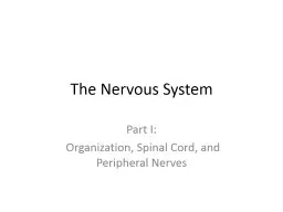  The Nervous System Part I: