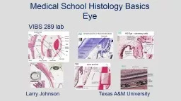  Medical School Histology Basics Eye