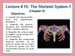  Lecture #  15: The Skeletal System-1