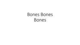  Bones  Bones Bones Chapter 8