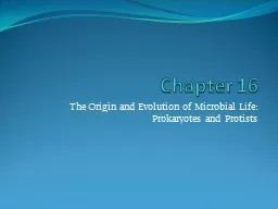  Chapter 16 The Origin and Evolution of Microbial Life: Prokaryotes and Protists