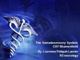  The  Somatosensory  System